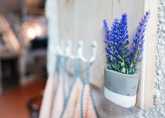 La Plazuela I Pereña